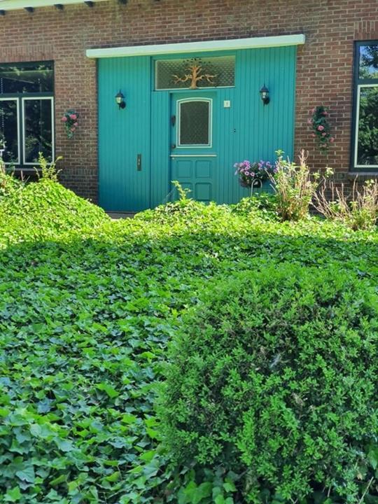 Bed and Breakfast De Vliegende Vlinder Nederweert Exteriér fotografie