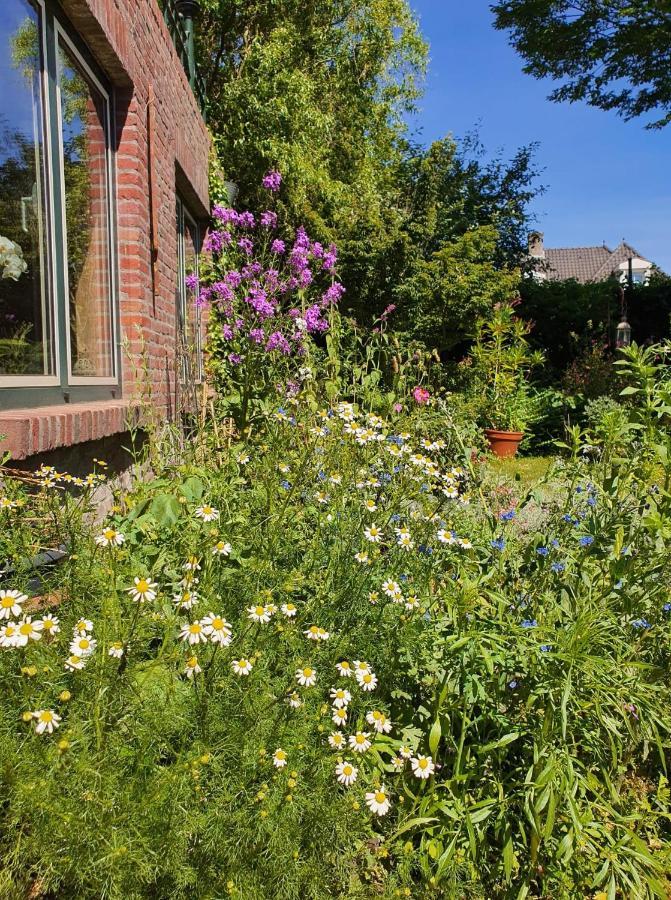 Bed and Breakfast De Vliegende Vlinder Nederweert Exteriér fotografie